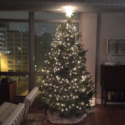 photo of treesanta chicago christmas tree delivery chicago il united states solid - Chicago Christmas Tree photo of treesanta chicago christmas tree delivery chicago il united states solid - Chicago Christmas Tree