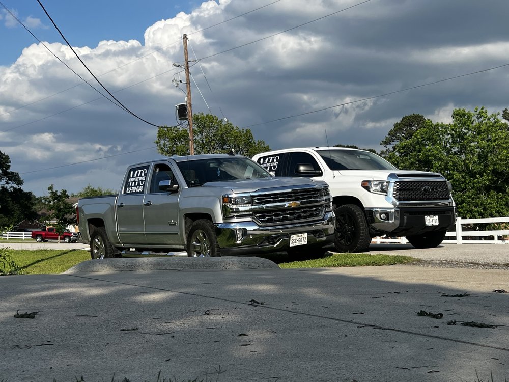 Monkey Tree Service