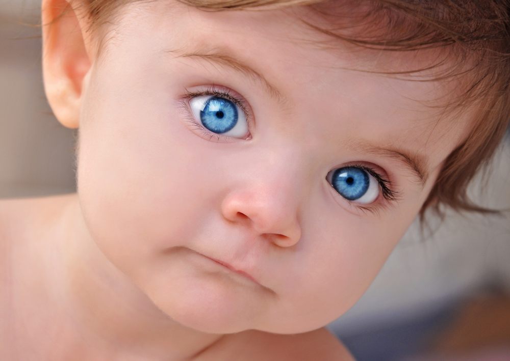 image of business Little Oaks Pediatrics