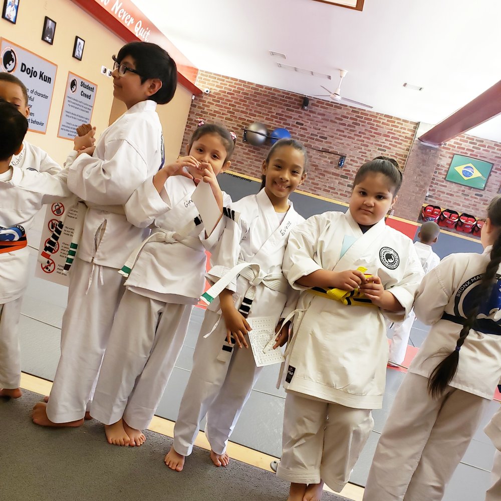 Bronx Martial Arts Academy