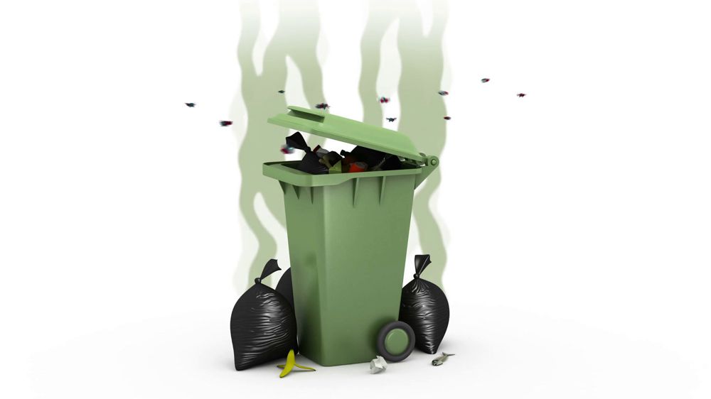 Dunn-Right Outdoor Services