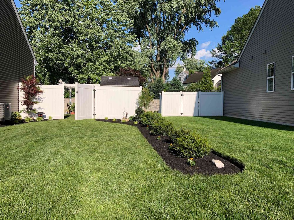 Paradise Plants & Patios
