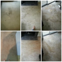 Carpet Cleaning Alexandria Va 703 552 4881 Alexandria Va Carpet Cleaning