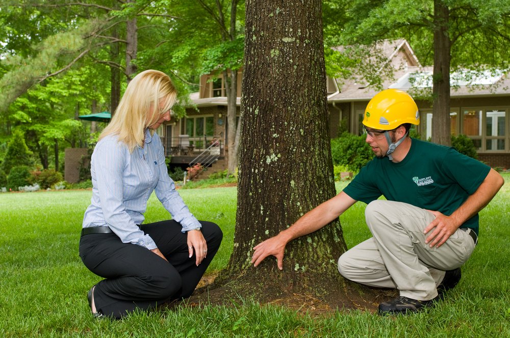 Bartlett Tree Experts - Carlisle