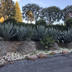 Urbanscapes Landscape Services Landscaping West San Jose Photo Of Urbanscapes Landscape Services San Jose Ca United States