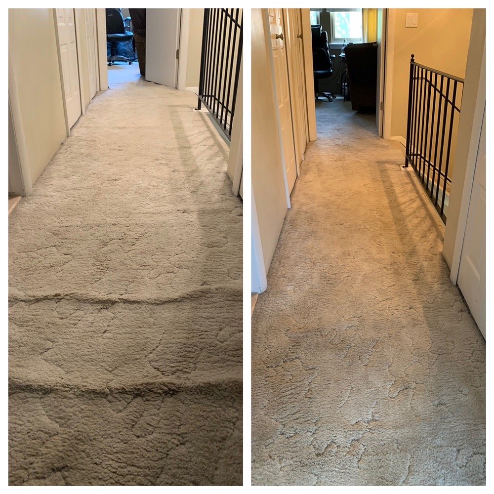 Haynes Carpet Cleaning