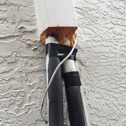 rat busters 60 photos pest control 141 nw 20th st boca raton