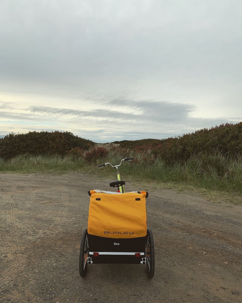 Bitar's-La Vogue Department Store