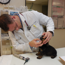 Towne North Animal Hospital photo