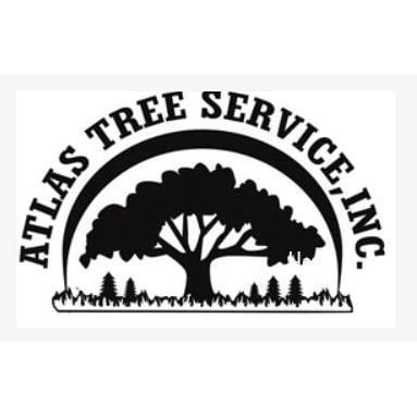 Atlas Tree