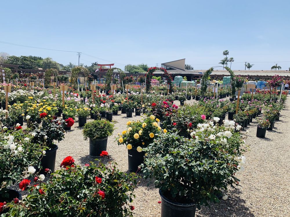 La Sumida Nursery