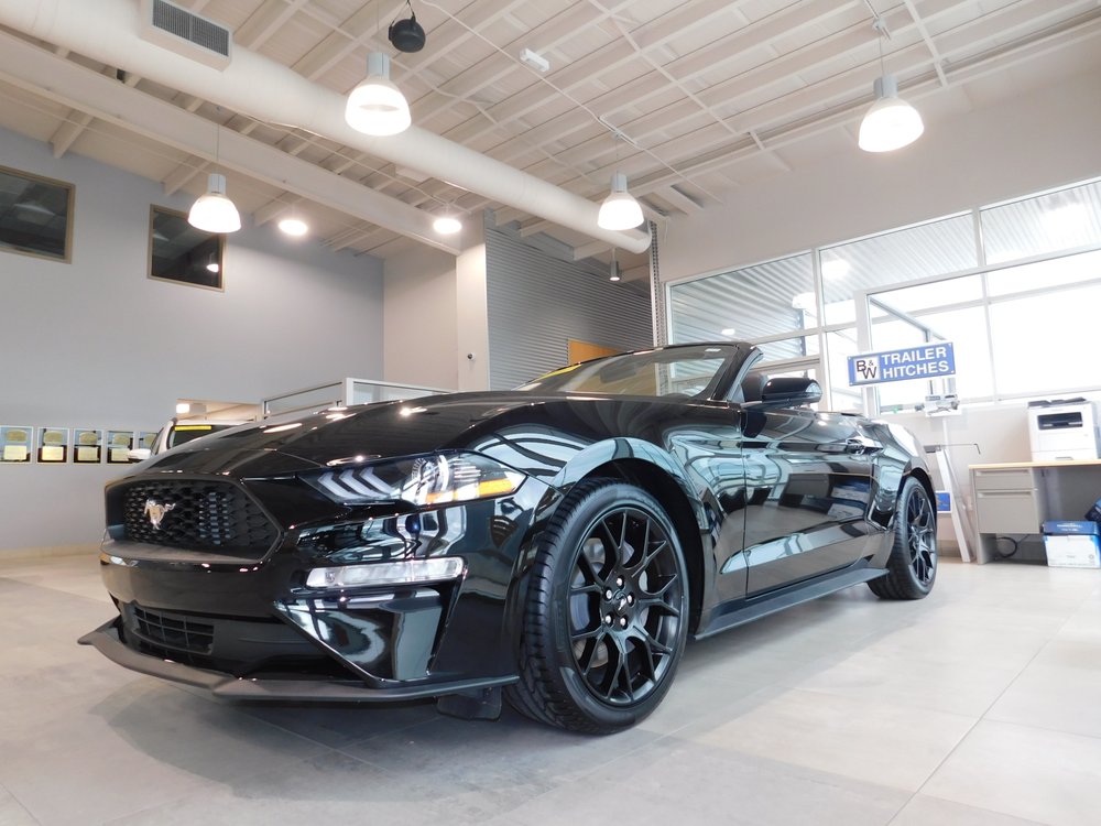 Ryan Ford Sealy Tx >> Ryan Ford 60 Photos 39 Reviews Car Dealers 3796 Ne I Ryan Ford Sealy Tx >> Ryan Ford 60 Photos 39 Reviews Car Dealers 3796 Ne I