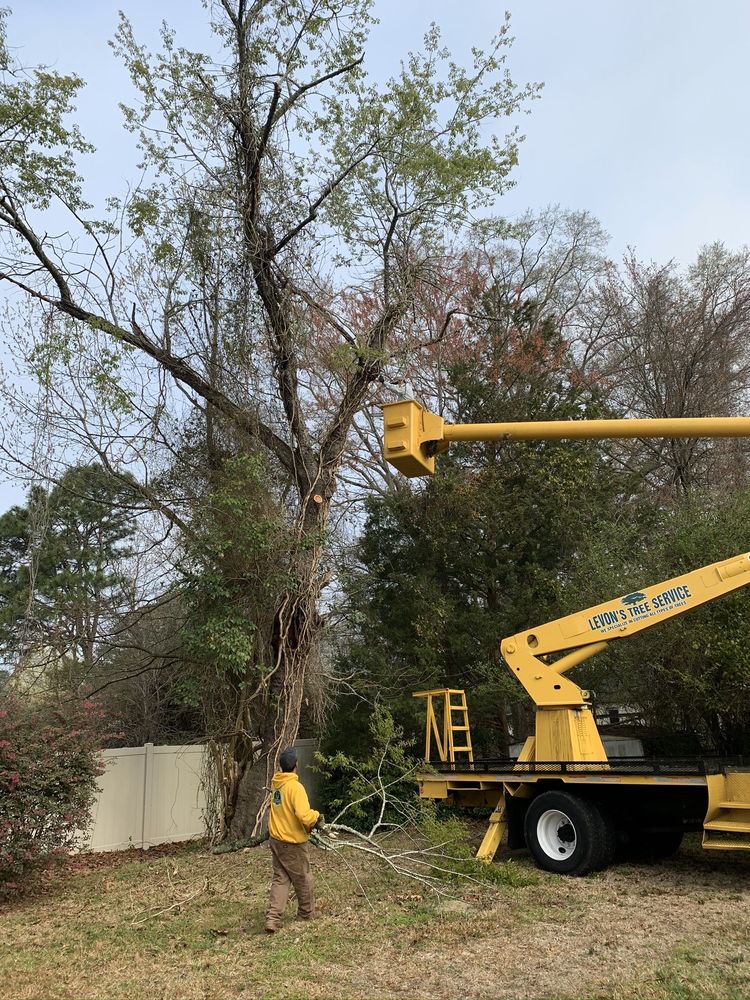 Levon's Tree Service