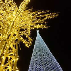 enchant christmas 92 photos 36 reviews festivals 1000