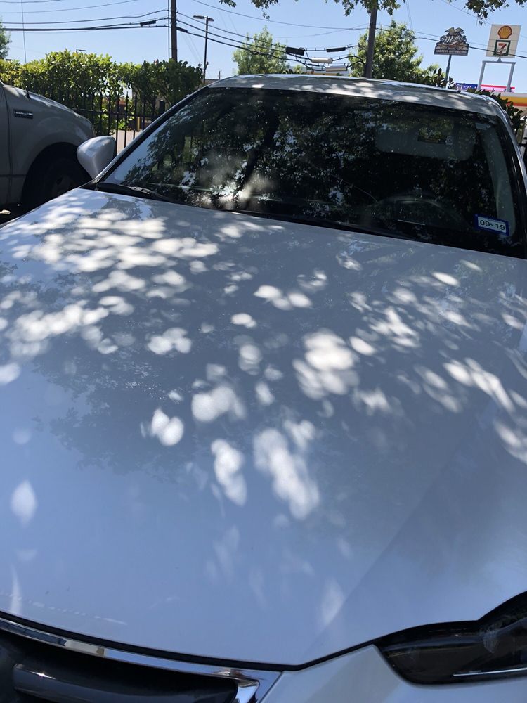 Xtreme Auto Glass Pros Dallas 60 Photos 63 Reviews