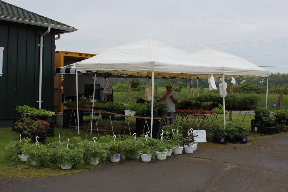 Archwood Green Barns Farmers' Market