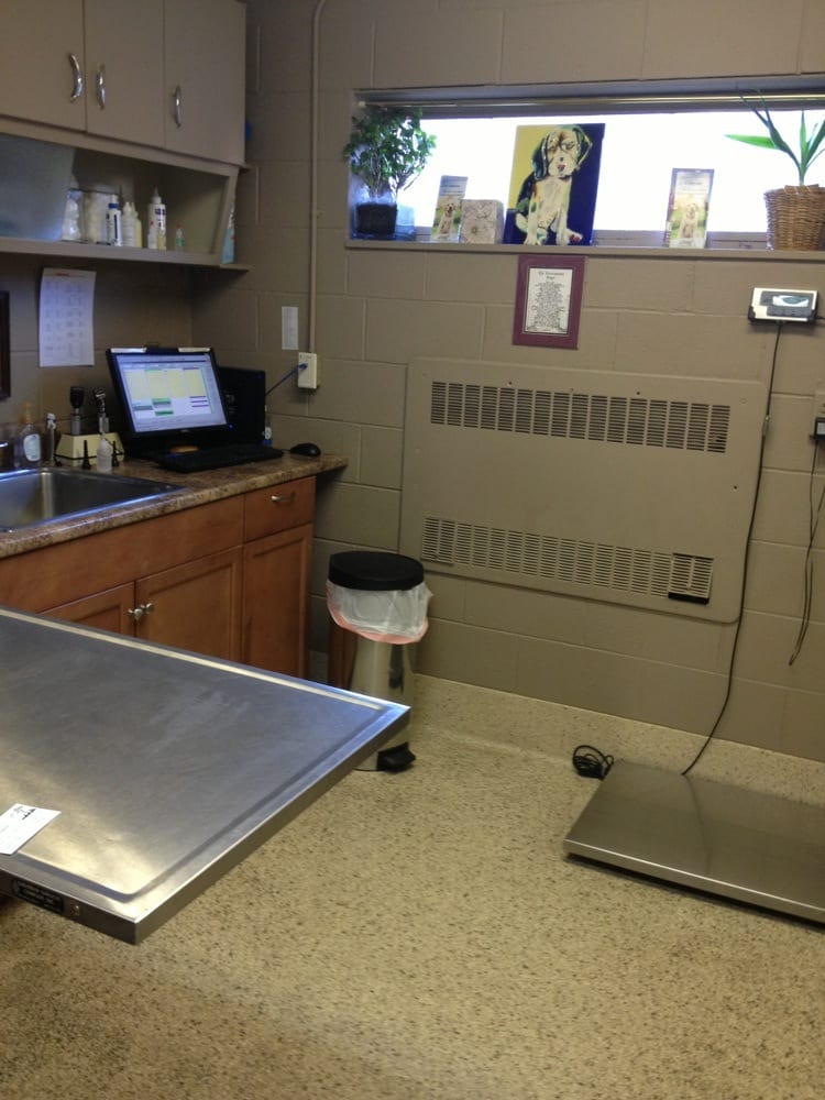 Ash Creek Animal Hospital & Spa