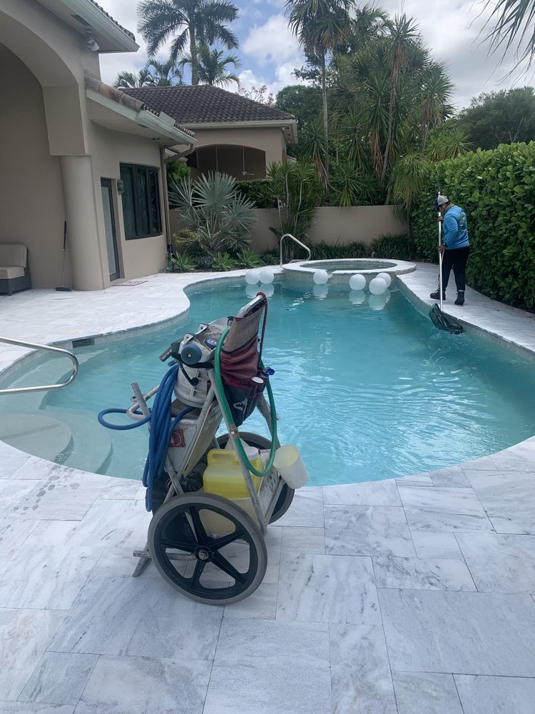 Star Pool Cleaner