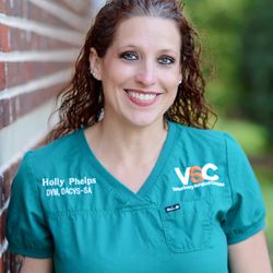 best vet surgeon near me