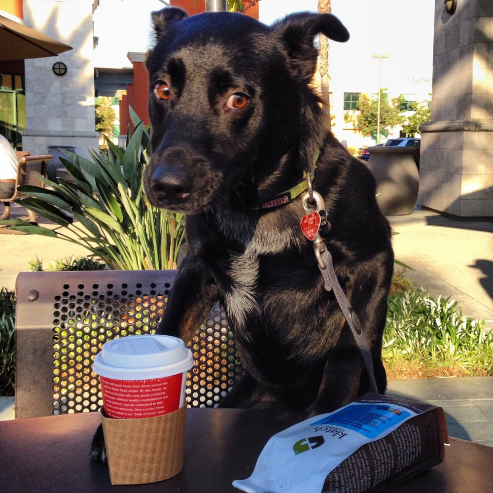 Klatch Coffee 152 Photos & 256 Reviews 951 N Haven Ave Ontario, CA Phone Number Yelp