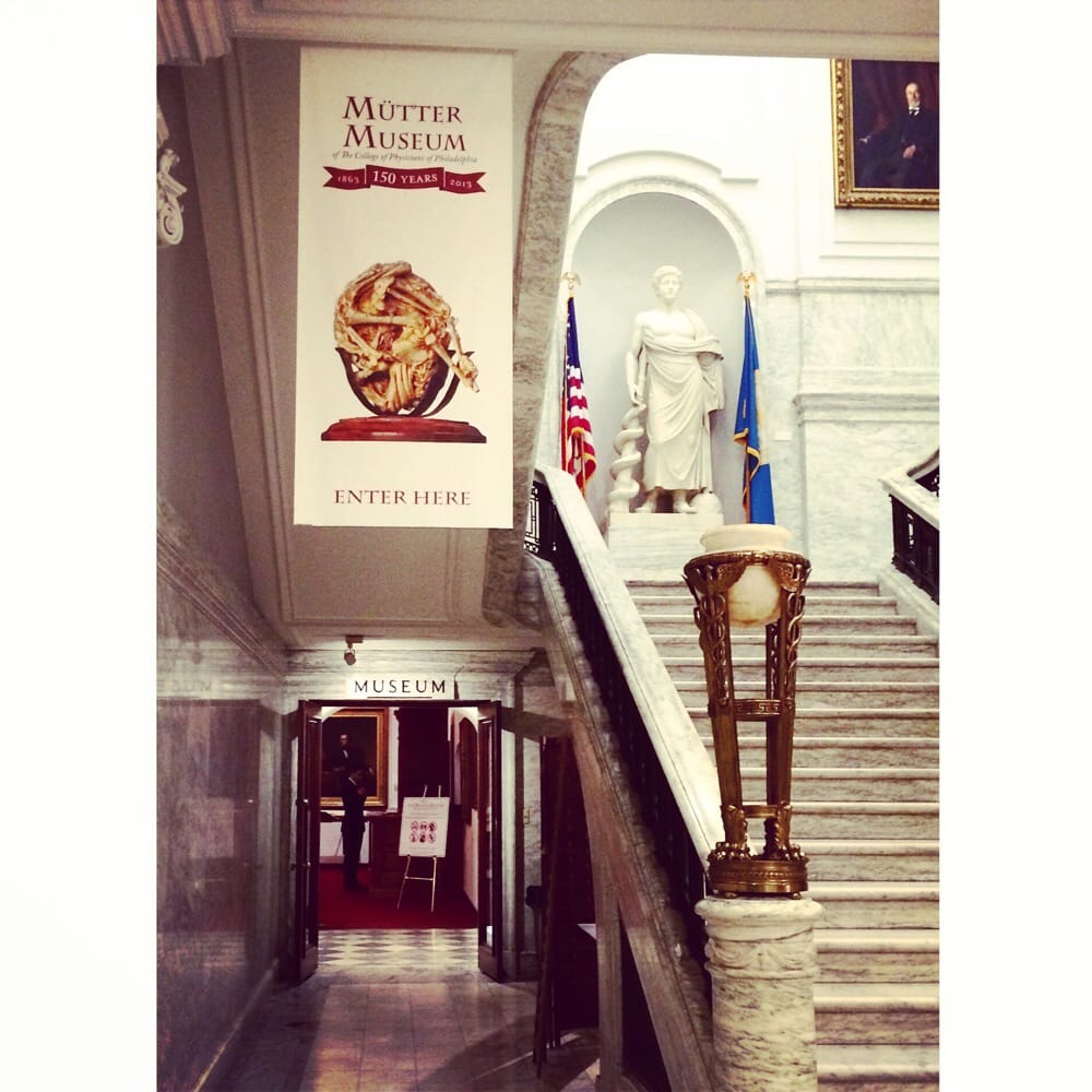 The Mütter Museum 187 Photos & 589 Reviews Museums 19 S 22nd St