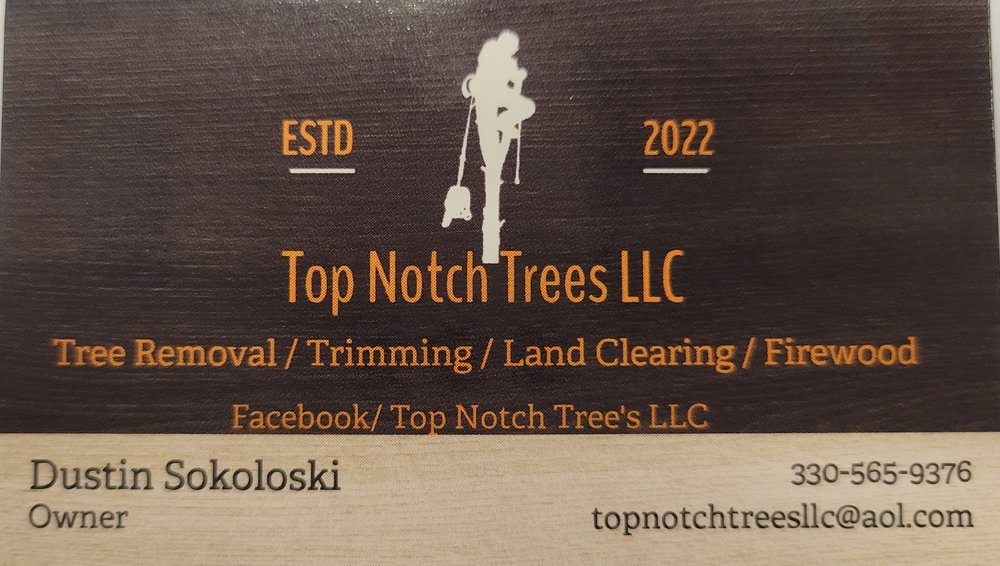 Top Notch Trees