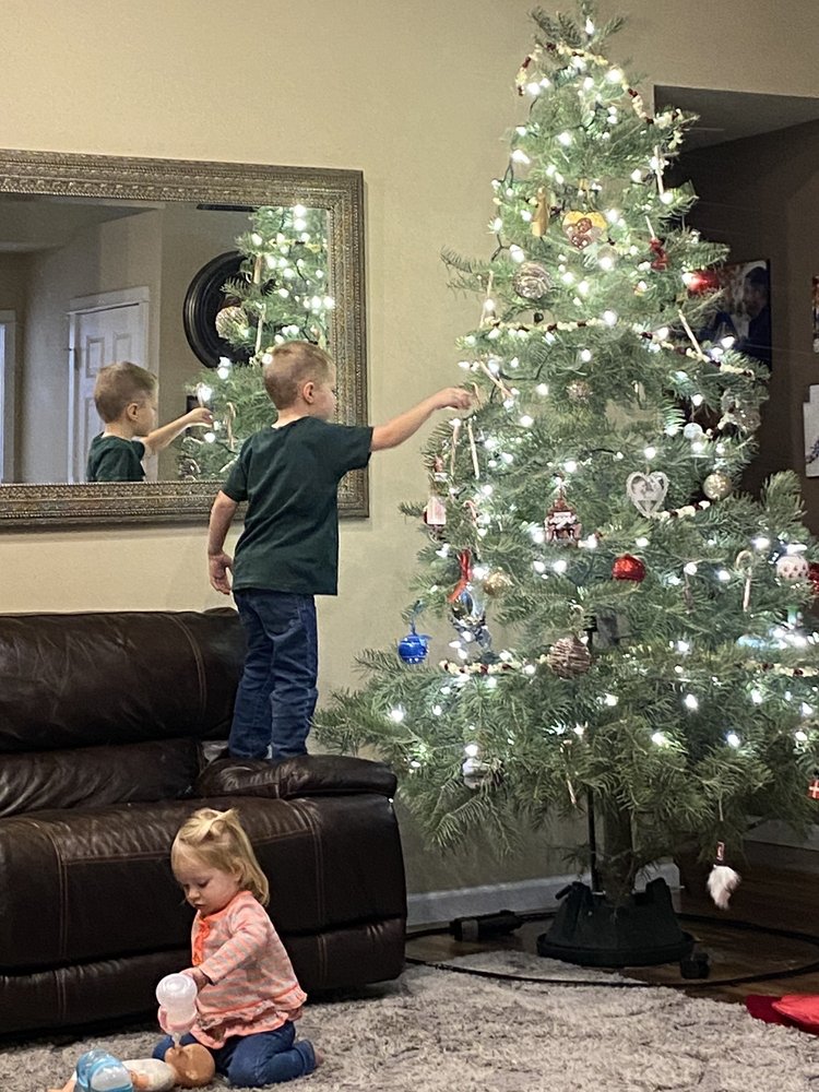 Shelton's Christmas Tree Farm