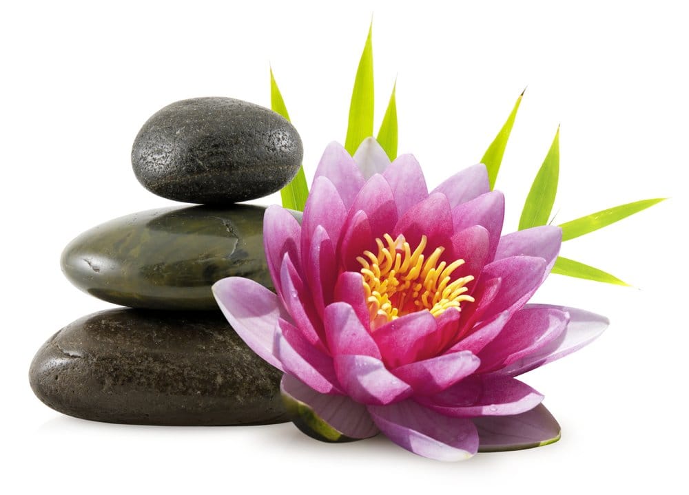 health healing massage center palma health healing massage center palma