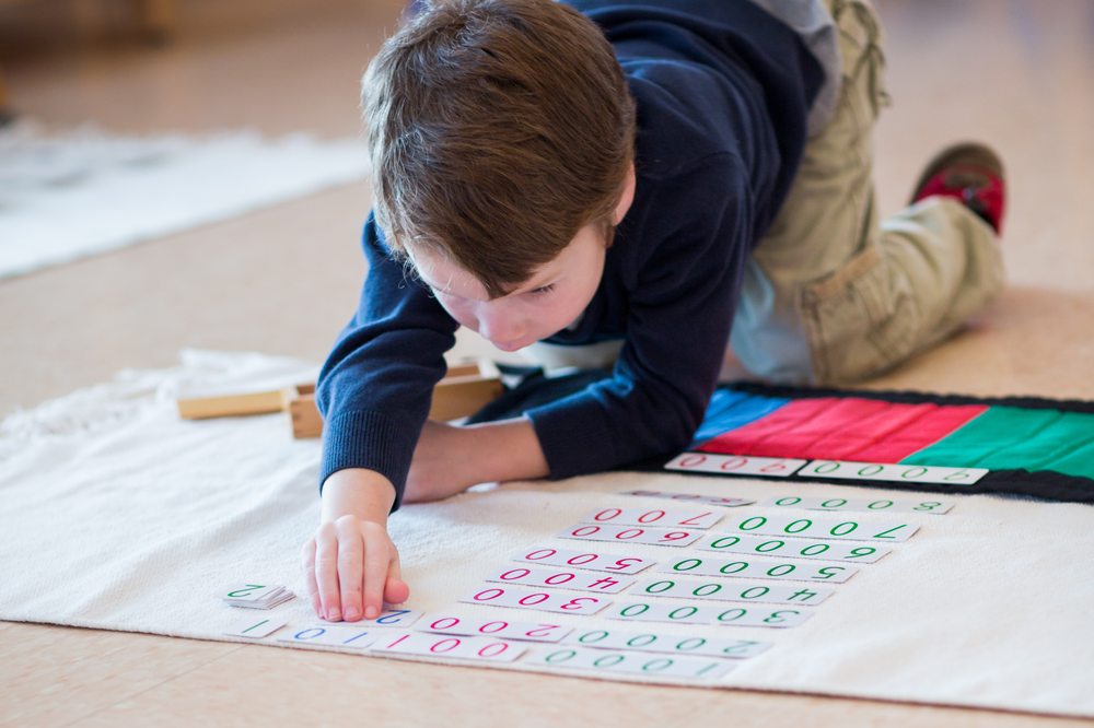 Village Montessori School At Bluemont