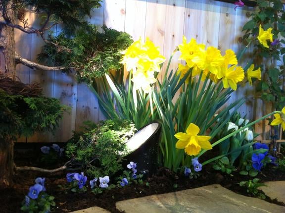 Well Light With An Heavy Duty Cover Uplighting A Spruce Tree Yelp Photo Of Outdoor Lighting Perspectives Dover Nj United States Well Light With