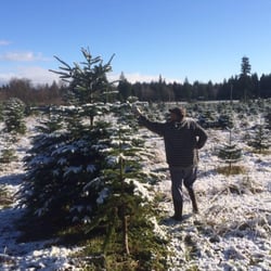 fish creek tree farm christmas trees 18420 3rd ave ne fish creek tree farm christmas trees 18420 3rd ave ne