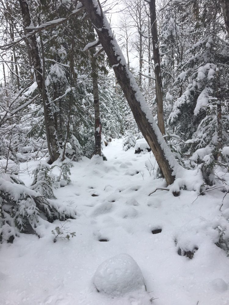 Great Pond Outdoor Adventure Center 56 Photos Recreation Centers