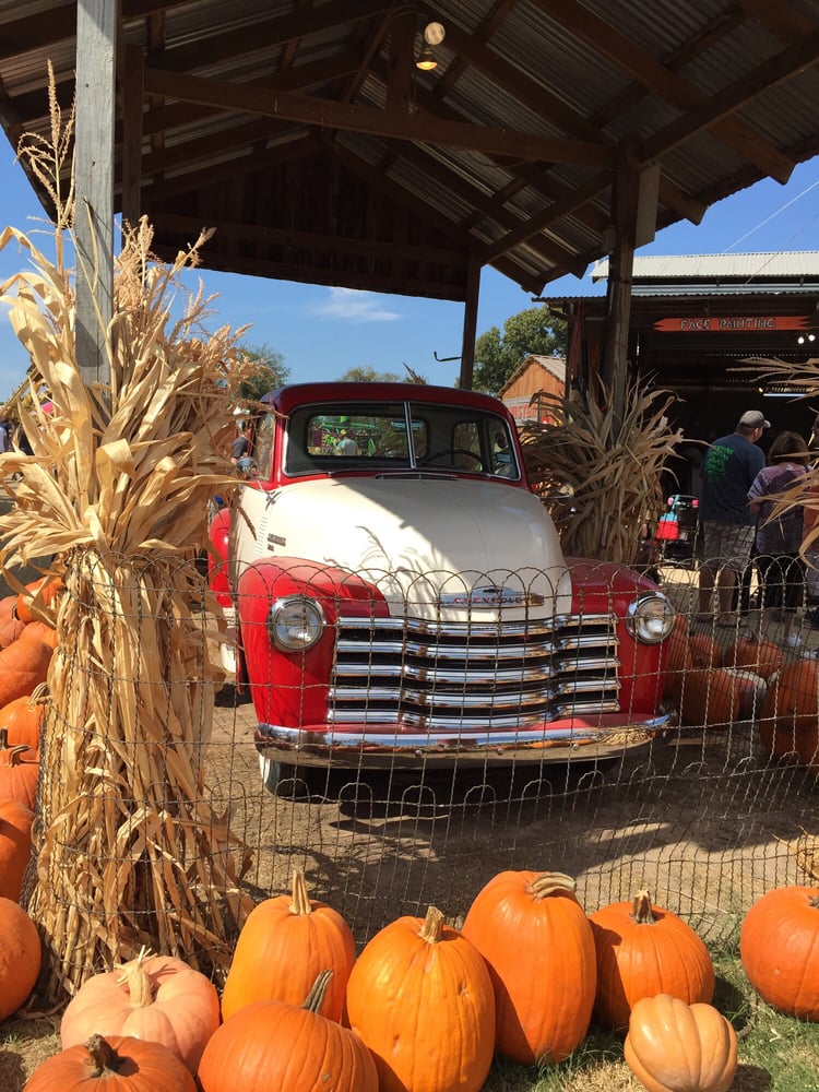 YesterLand Farm 34 Photos & 11 Reviews Pumpkin Patches 15410 I20