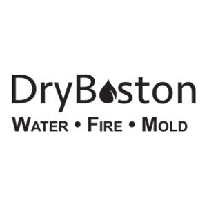 image of business DryBoston