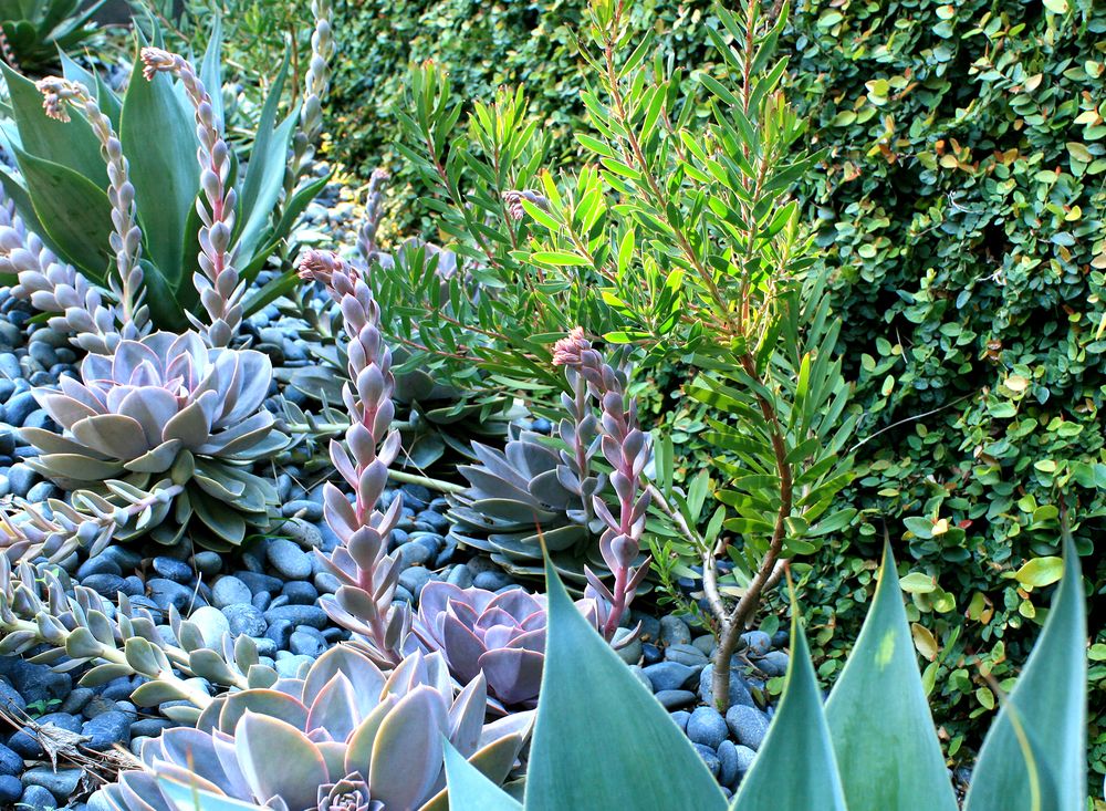 Oakwest Landscapes