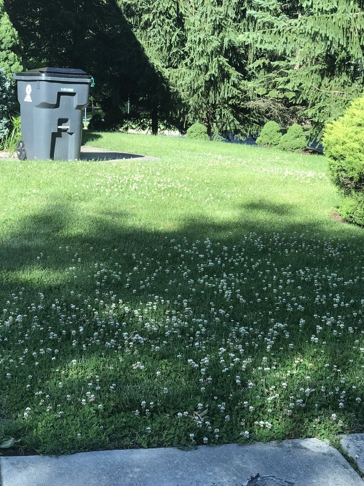 Mark's Lawn Care & Landscaping