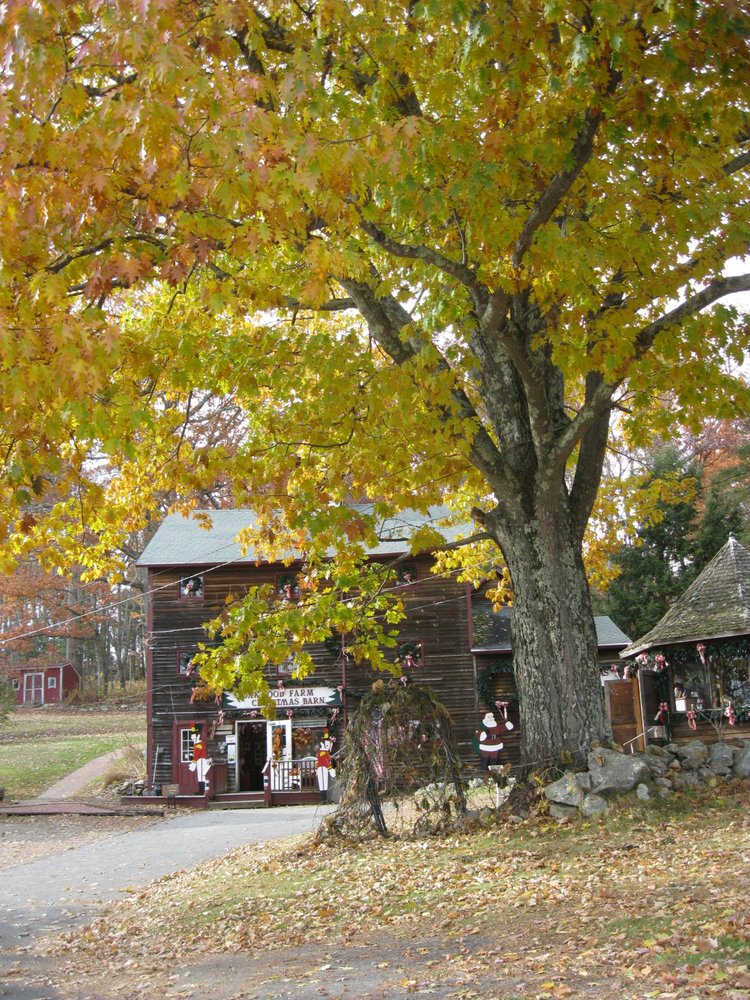 Oakwood Farm Christmas Barn 21 Photos Gift Shops 1 Northwest Rd