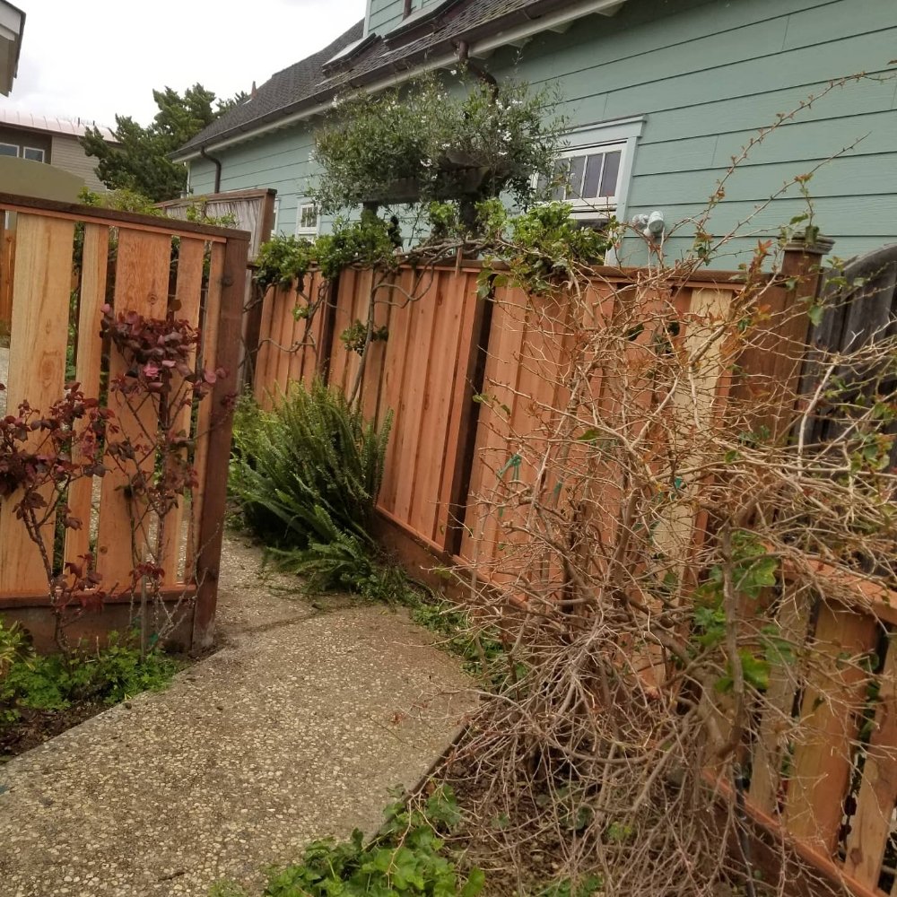 Central Cal Landscaping