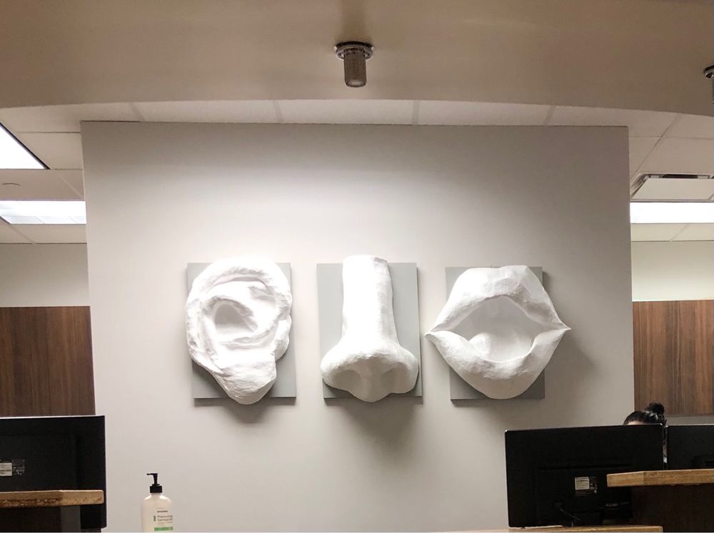 image of business Houston Ear Nose Throat and Allergy