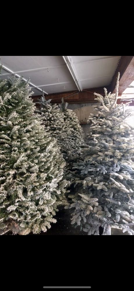 Country Farms - Everett