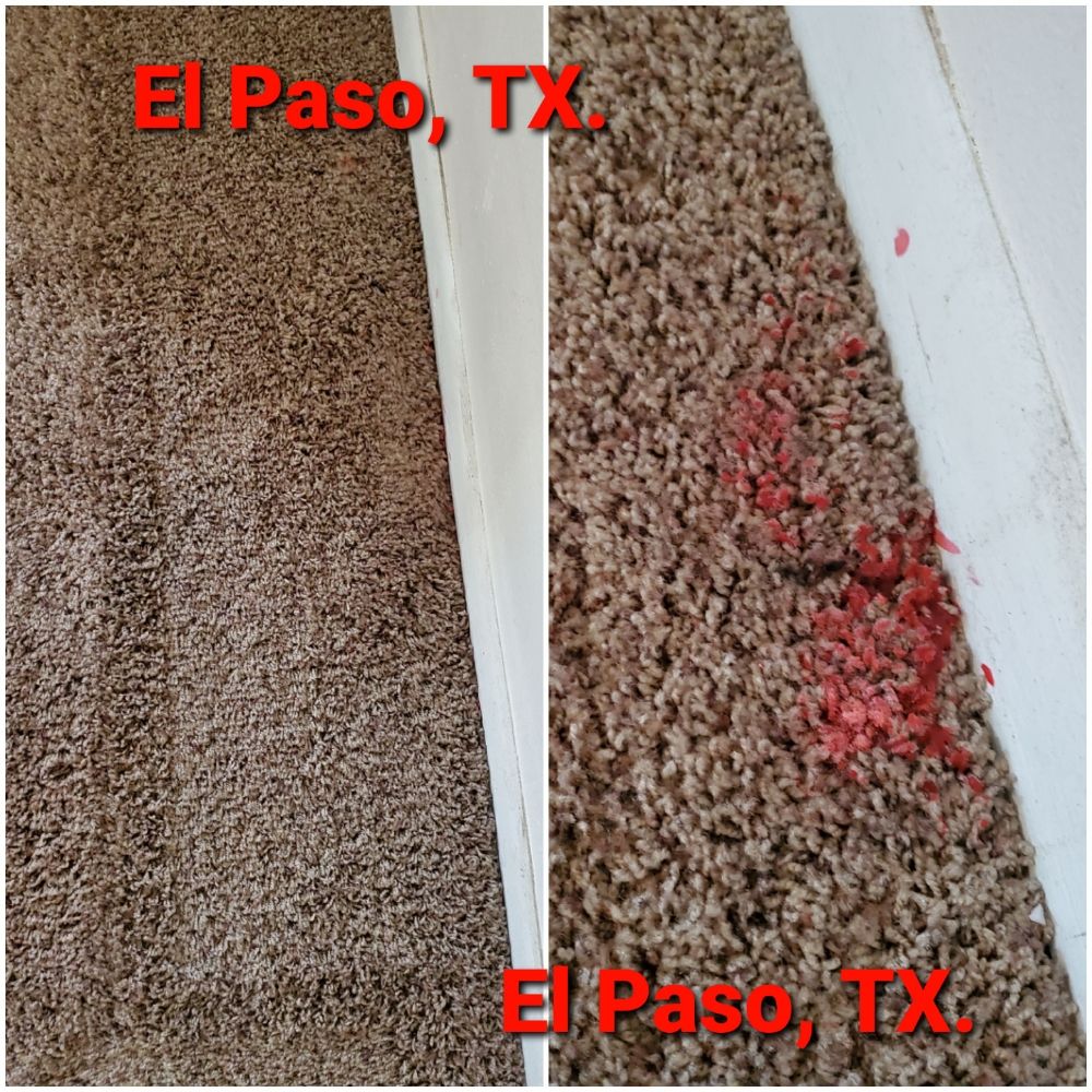 Gino's Carpet Cleaning