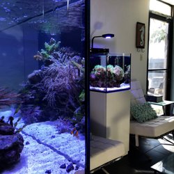 reliant aquarium design 46