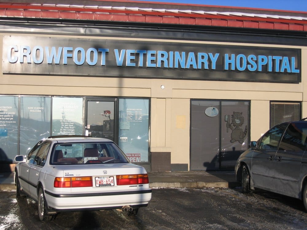 VCA Canada Crowfoot Animal Hospital