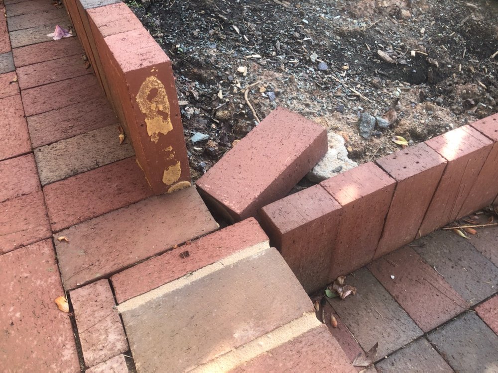 Carolina Garden Company