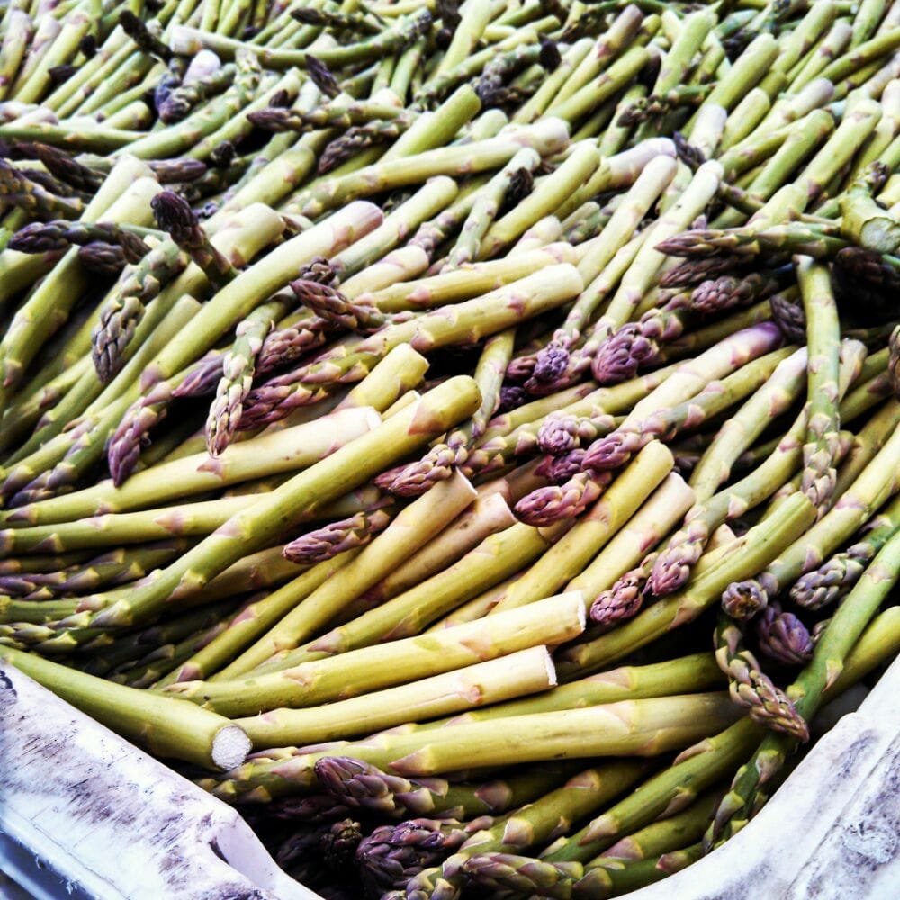 San Joaquin Asparagus Festival 162 Photos & 82 Reviews Festivals