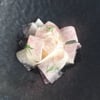 LuMi Bar & Dining