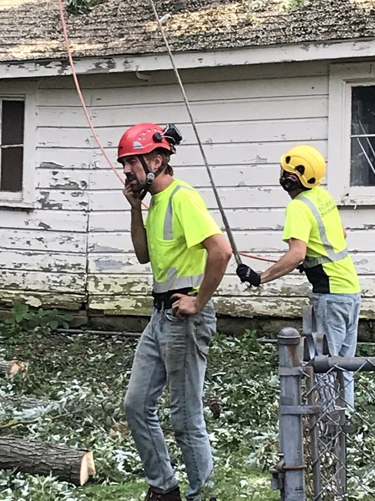 Rothrock Tree Service