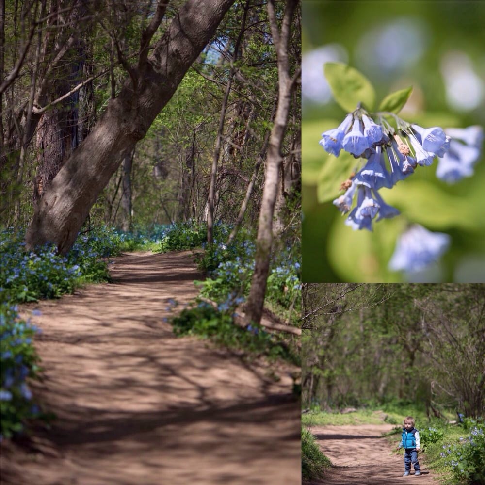 Riverbend Park