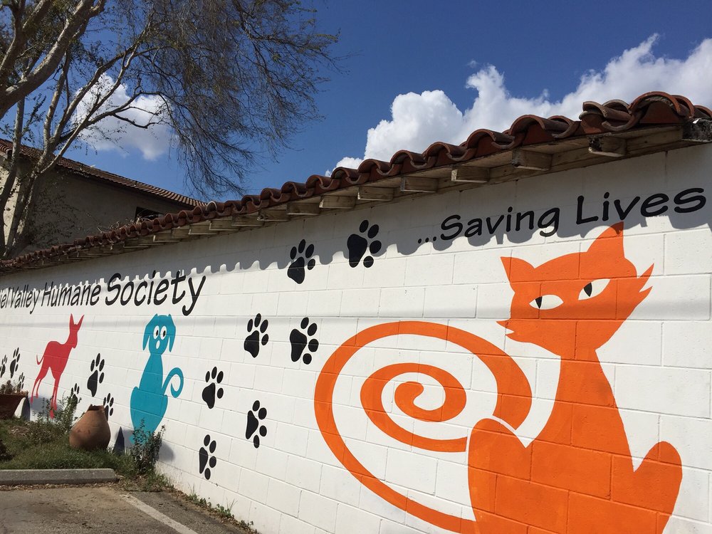 San Gabriel Valley Humane Society 106 Photos & 174 Reviews Animal