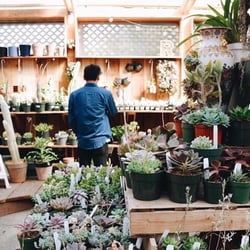 Succulence Check Availability 223 Photos 132 Reviews Photo Of Succulence San Francisco Ca United States I May Have Found